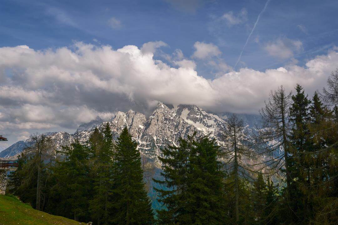 MBR_8857